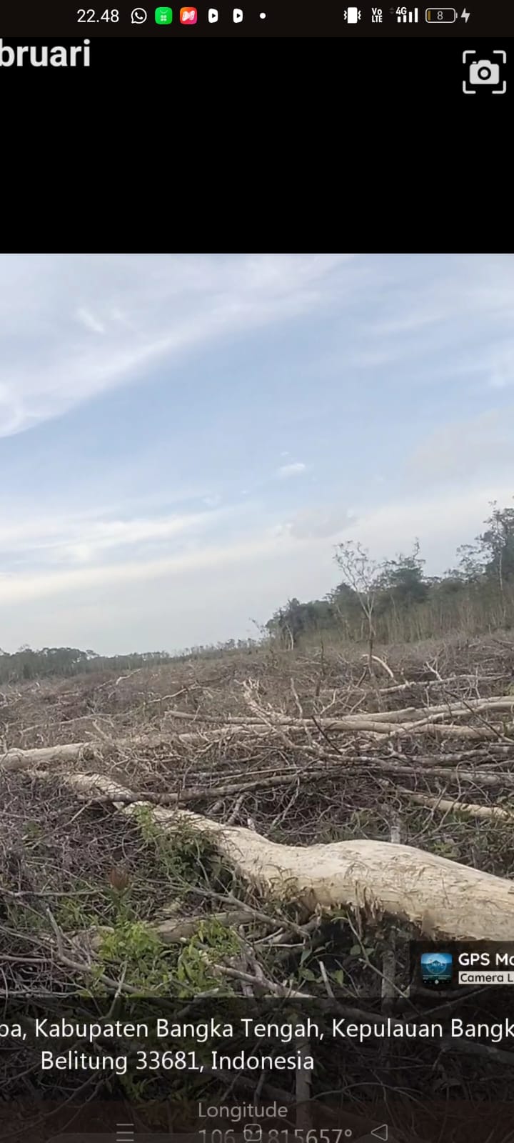 Foto: Pembalakan liar kawasan hutan lindung di desa Belik kecamatan Namang 