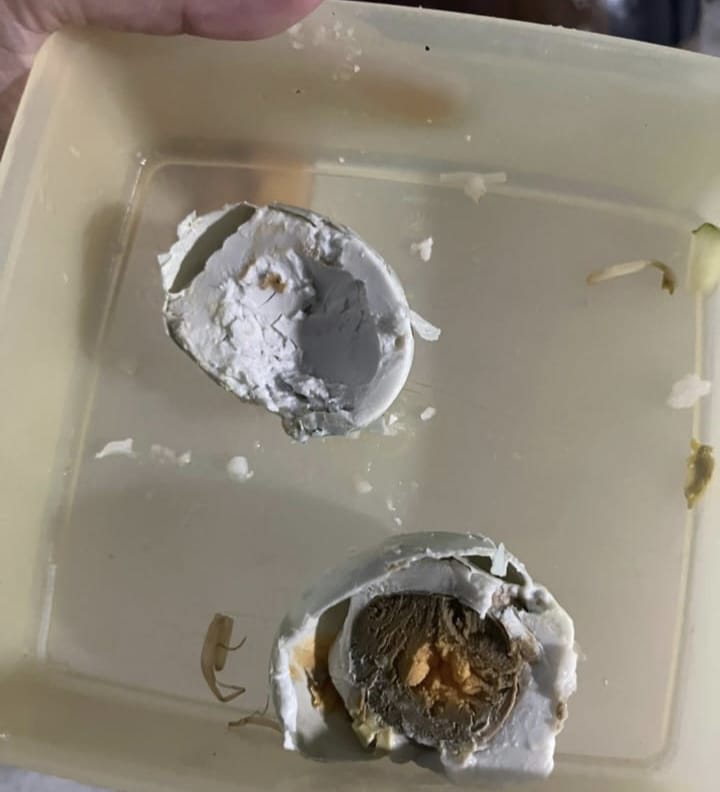 Caption: Telur asin busuk yang diberikan SPPG Namang kepada siswa 
